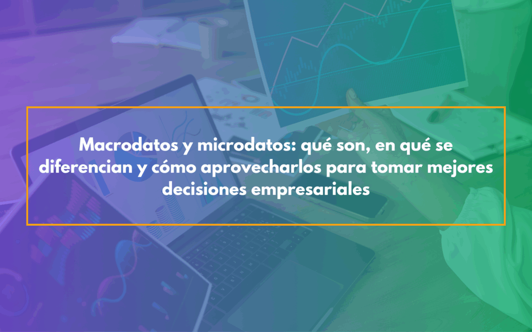 Macrodatos y microdatos: qué son, en qué se diferencian y cómo aprovecharlos para tomar mejores decisiones empresariales